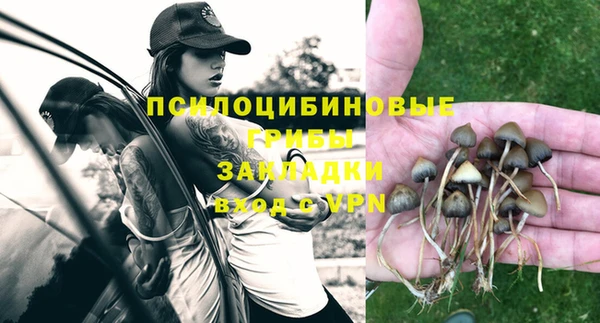 трава Арсеньев