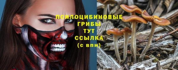 трава Арсеньев