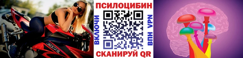 где найти   Кашин  MEGA зеркало  Галлюциногенные грибы Cubensis 